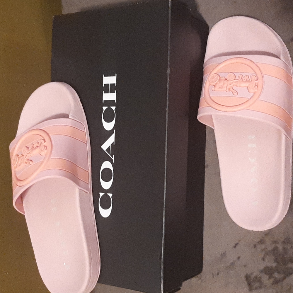 Coach slides